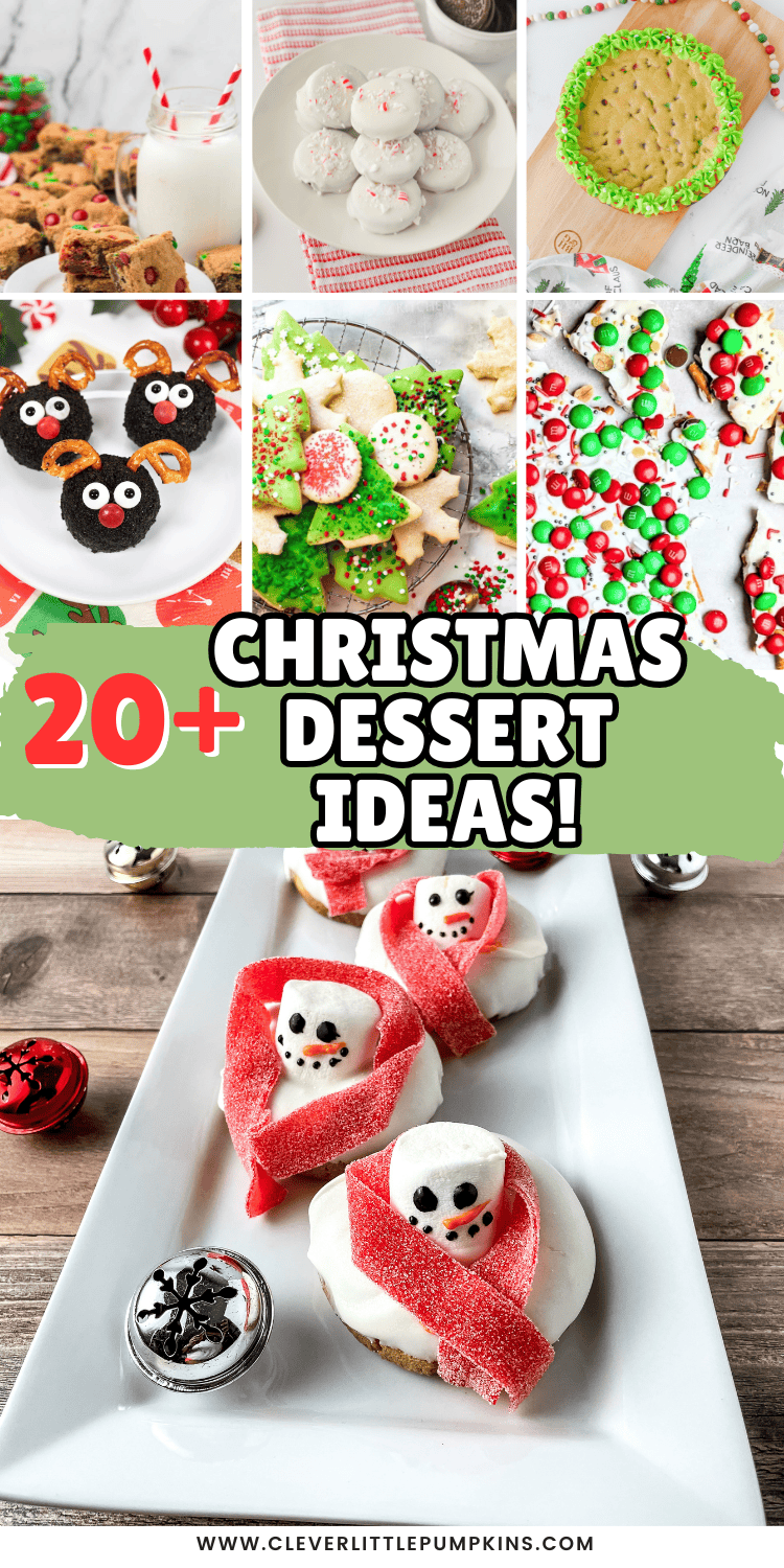 20+ Christmas Party Dessert Ideas