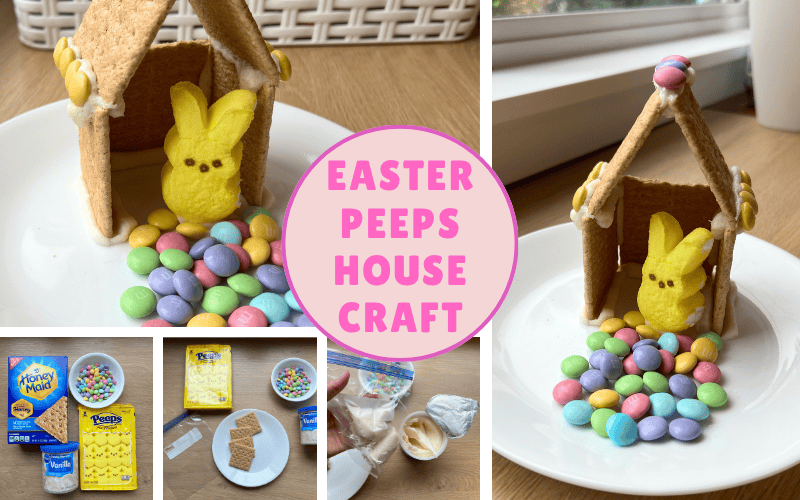 Easter peeps house craft