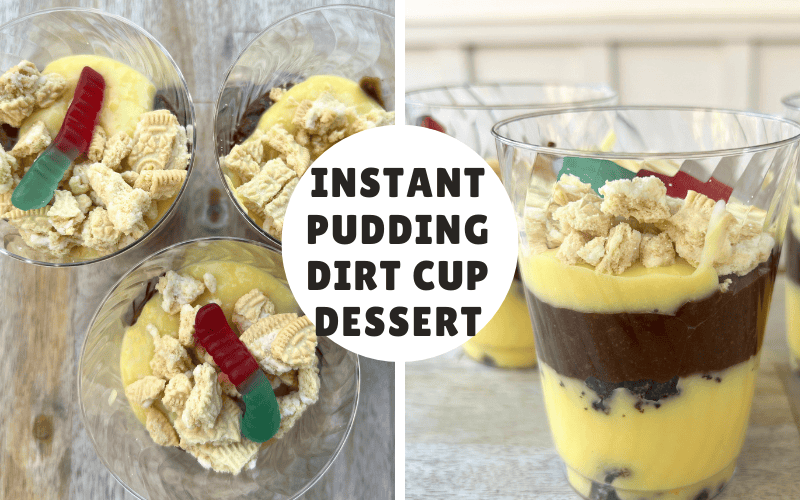 Instant Pudding Dirt Cup Dessert